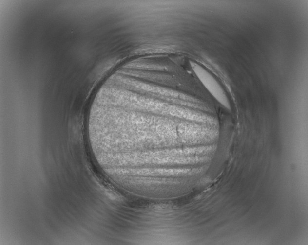 X0000054400107200508192015