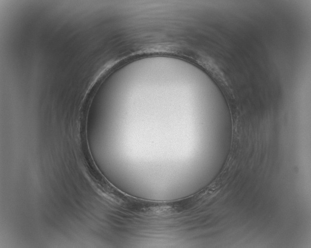 X0000054400108200508192015