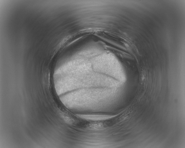 X0000054400110200508192015