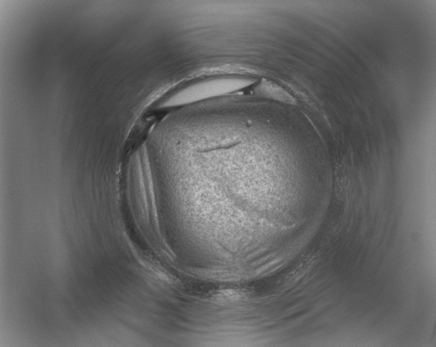 X0000054400111200508192015