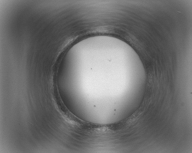 X0000054400112200508192015