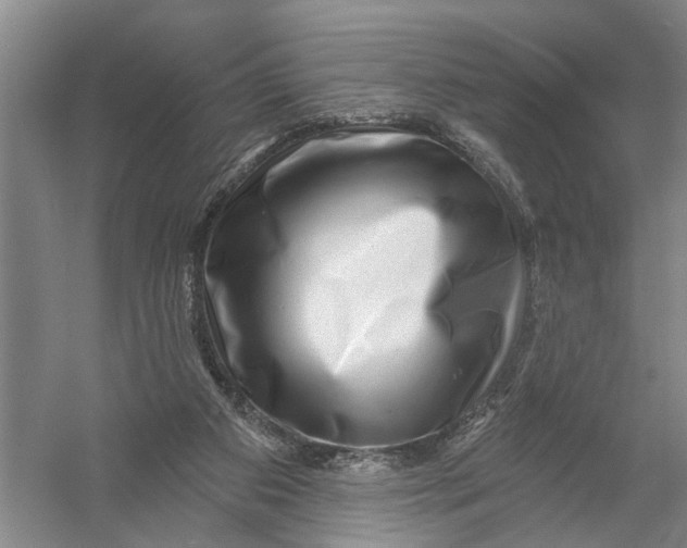 X0000054400113200508192015