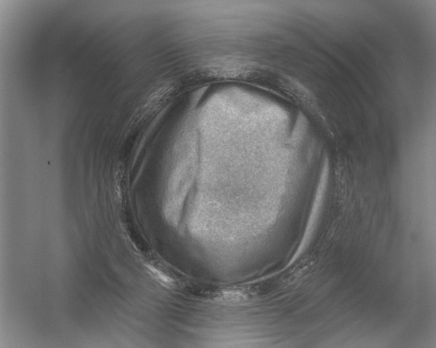 X0000054400114200508192015