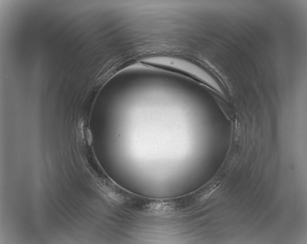 X0000054400117200508192015