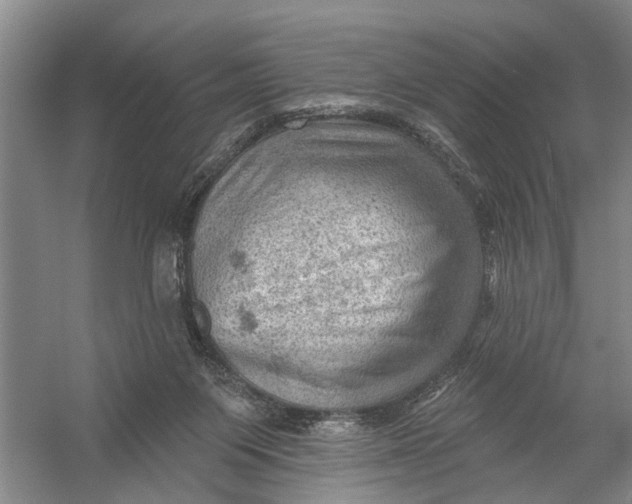 X0000054400119200508192015