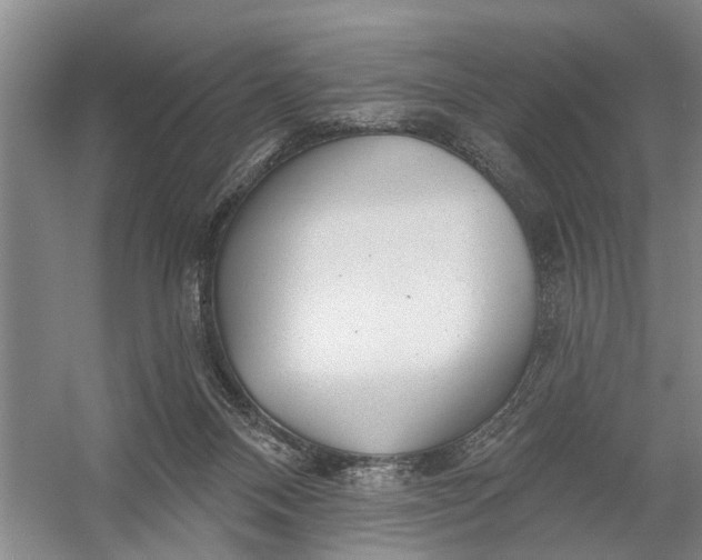 X0000054400120200508192015