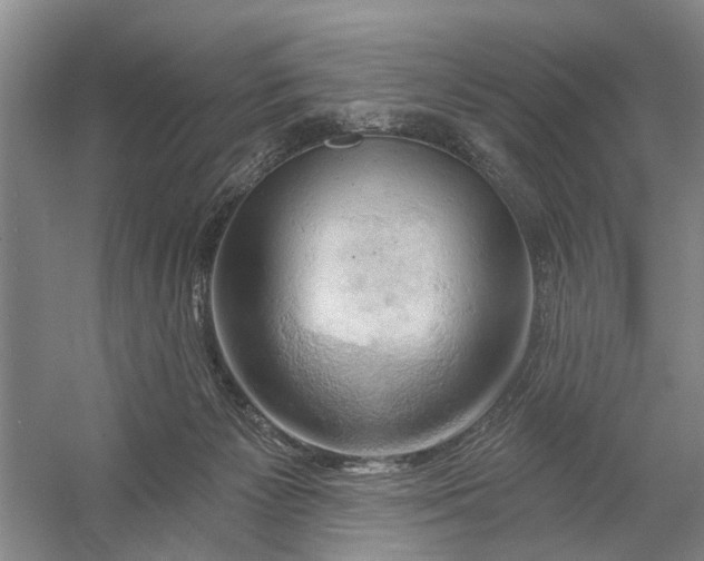 X0000054400125200508192015