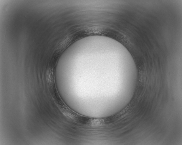 X0000054400126200508192015