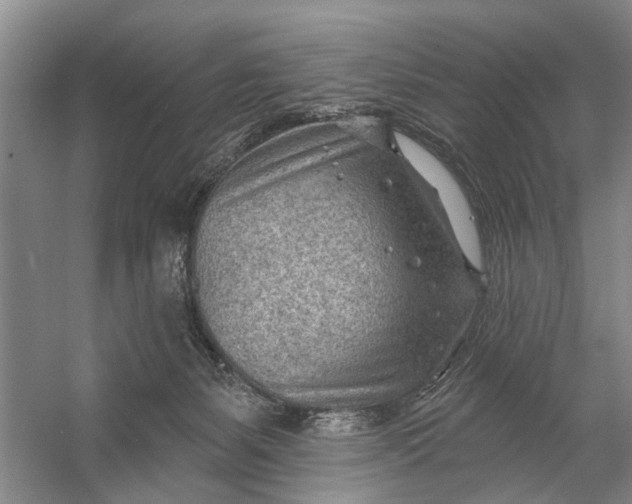 X0000054400127200508192015