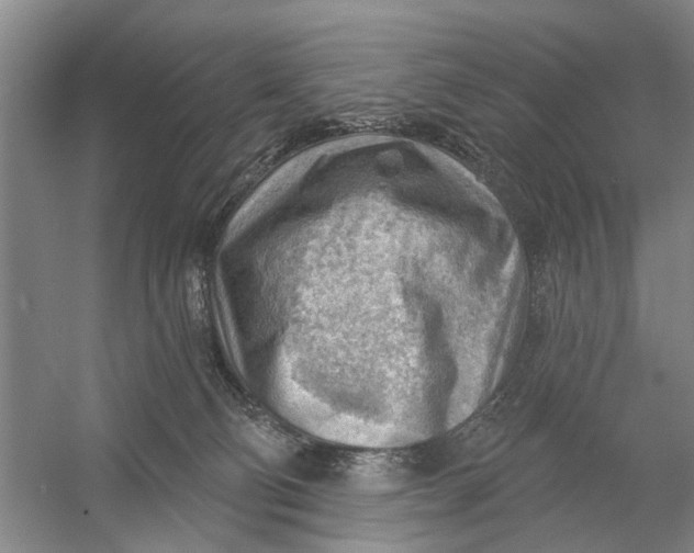 X0000054400130200508192015