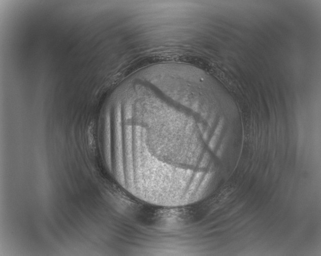 X0000054400131200508192015