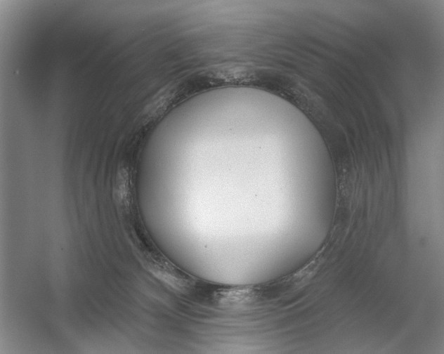 X0000054400132200508192015