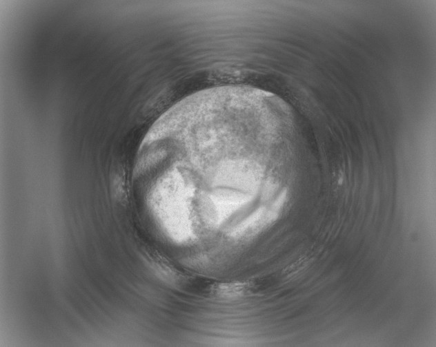 X0000054400134200508192015