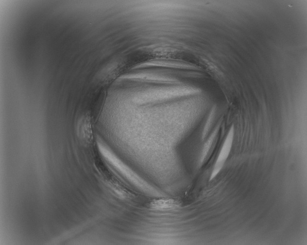 X0000054400137200508192015