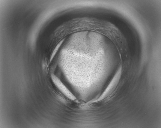 X0000054400142200508192015