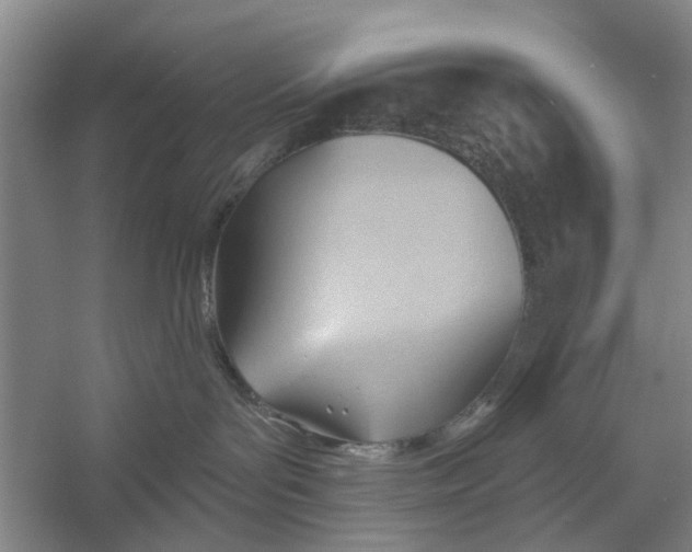 X0000054400143200508192015