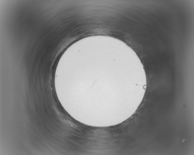 X0000054400146200508192014