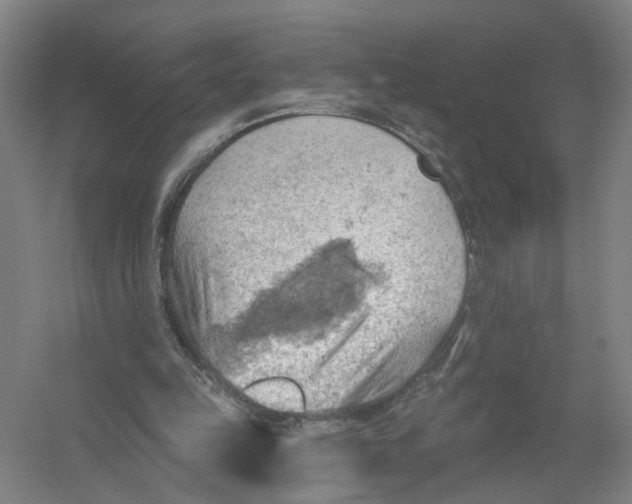 X0000054400149200508192014