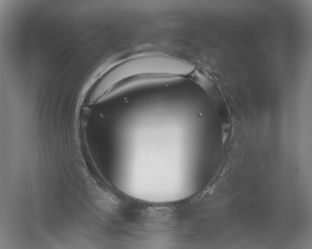 X0000054400150200508192014