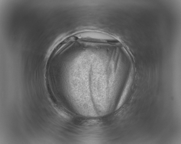 X0000054400151200508192014