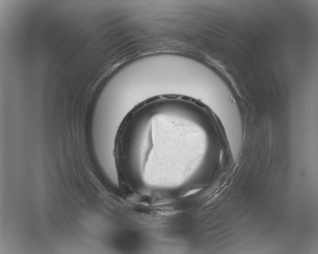 X0000054400154200508192014