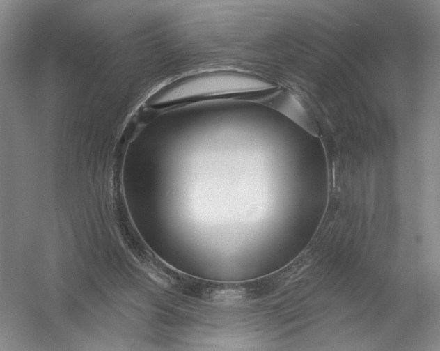 X0000054400156200508192014