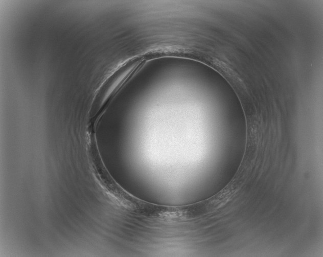 X0000054400160200508192014