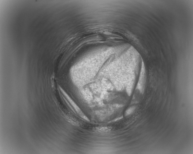 X0000054400161200508192014