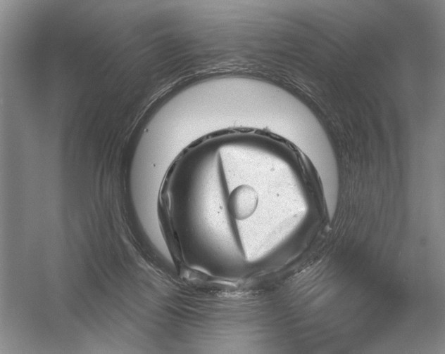 X0000054400164200508192014