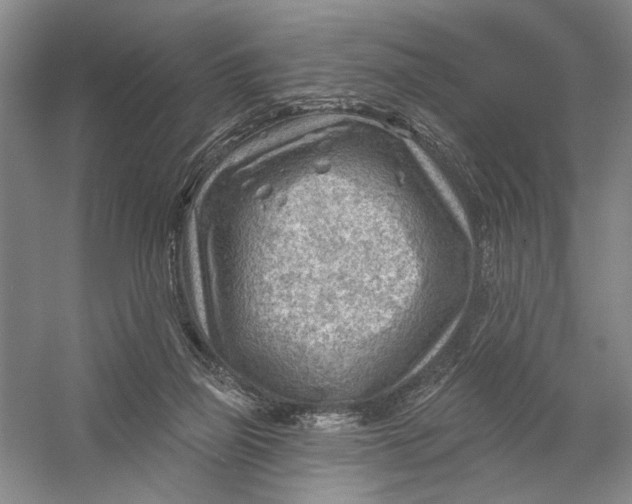 X0000054400165200508192014