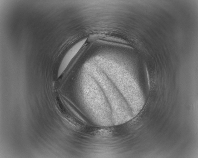 X0000054400166200508192014