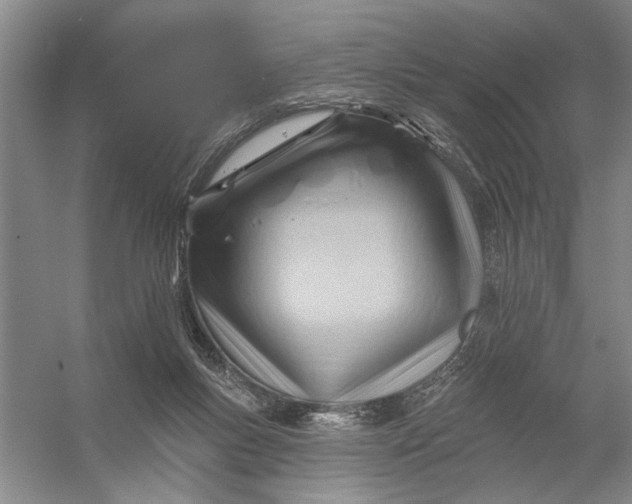 X0000054400167200508192014