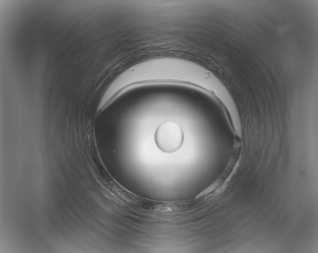 X0000054400174200508192014