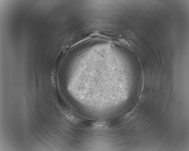 X0000054400175200508192014