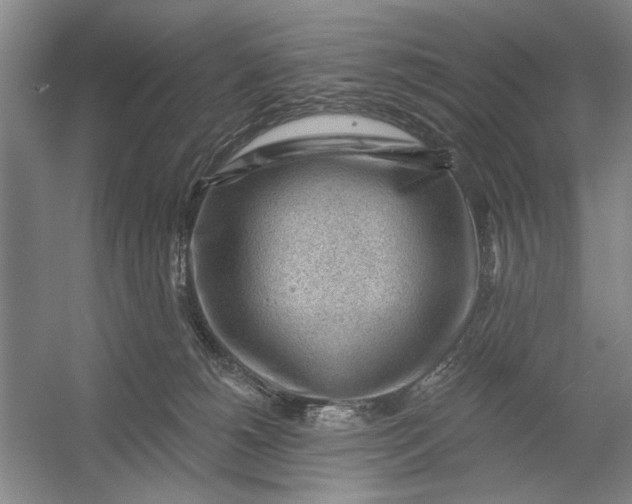 X0000054400180200508192014