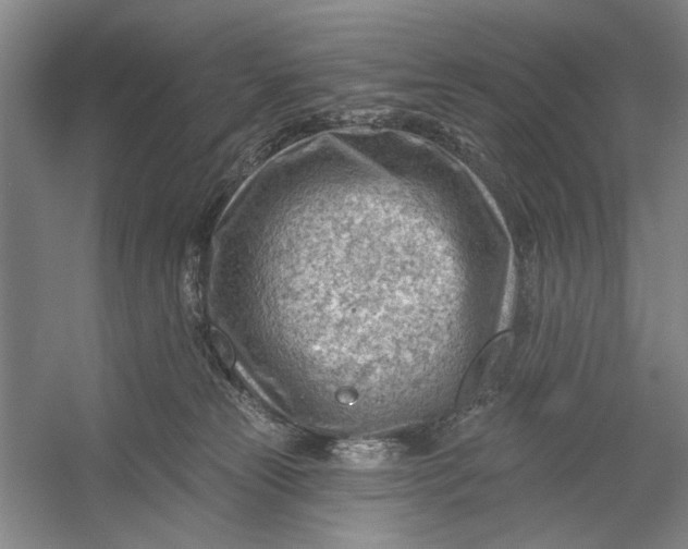 X0000054400181200508192014