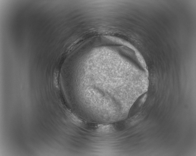 X0000054400185200508192014