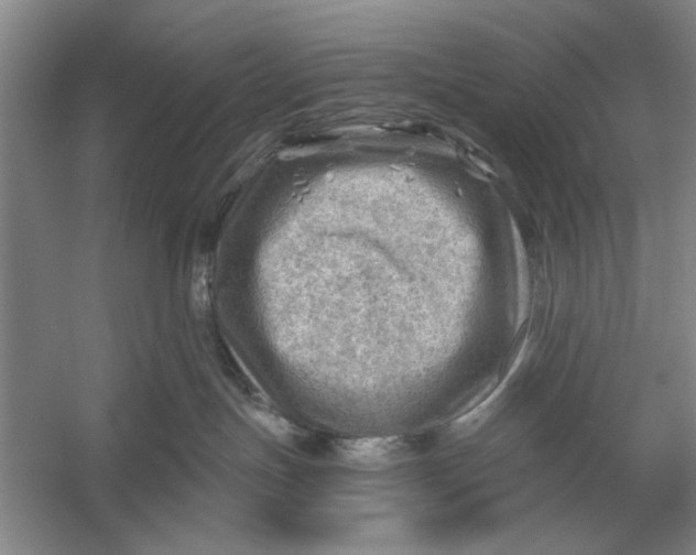 X0000054400191200508192015