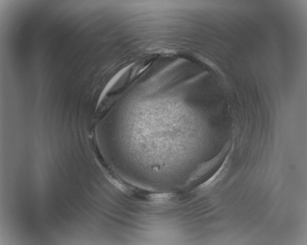 X0000054400192200508192015