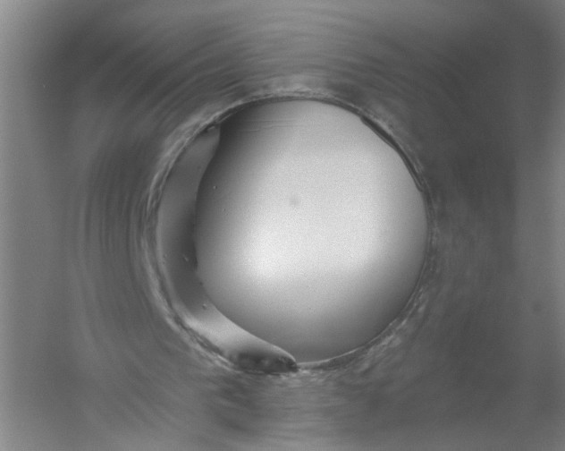 X0000054400193200508192014