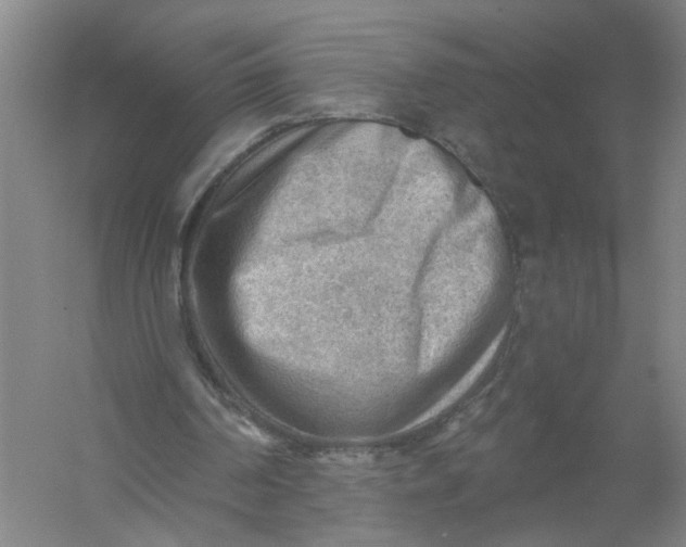 X0000054400194200508192014