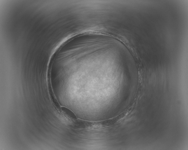 X0000054400196200508192014