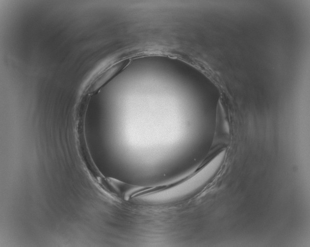 X0000054400197200508192014