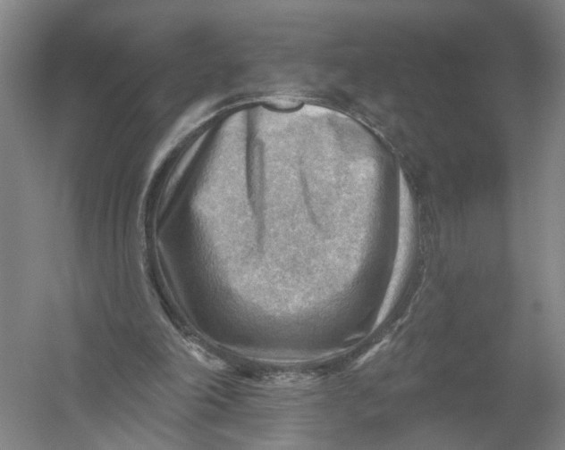 X0000054400198200508192014