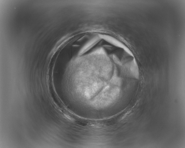 X0000054400199200508192014