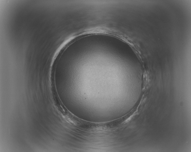 X0000054400200200508192014