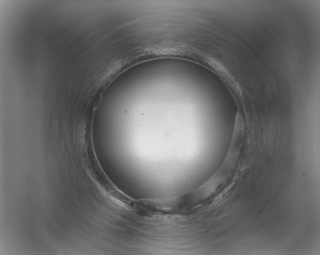 X0000054400201200508192014