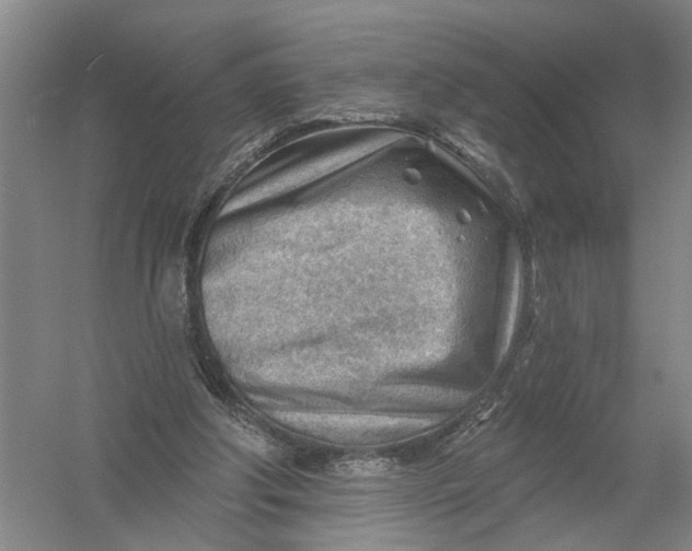 X0000054400202200508192014