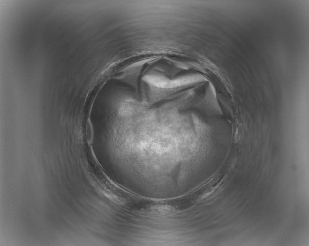 X0000054400203200508192014