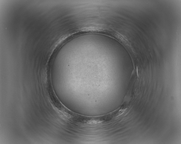 X0000054400204200508192014